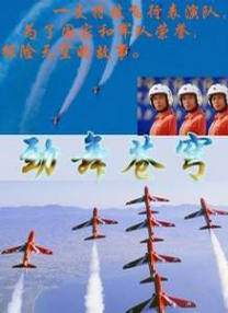 荷兰空姐2023年电影